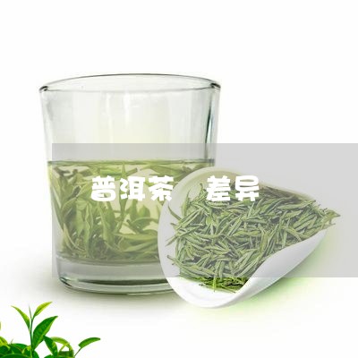 普洱茶 差异/2023042836360